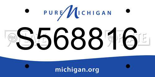 S568816 Michigan License Plate