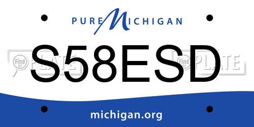 S58ESD Michigan License Plate