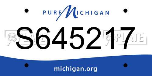 S645217 Michigan License Plate