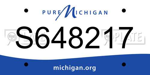 S648217 Michigan License Plate