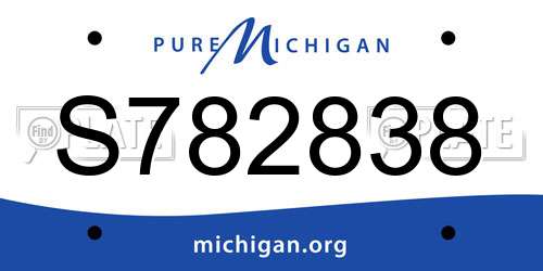 S782838 Michigan License Plate