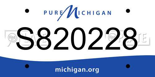 S820228 Michigan License Plate
