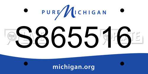 S865516 Michigan License Plate