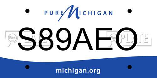 S89AEO Michigan License Plate