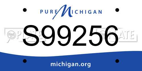 S99256 Michigan License Plate