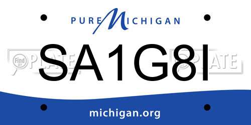 SA1G8I Michigan License Plate