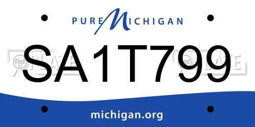 SA1T799 Michigan License Plate