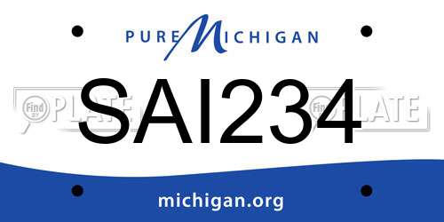 SAI234 Michigan License Plate