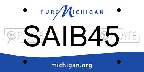 SAIB45 Michigan License Plate