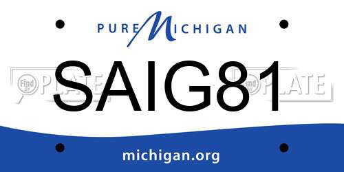 SAIG81 Michigan License Plate