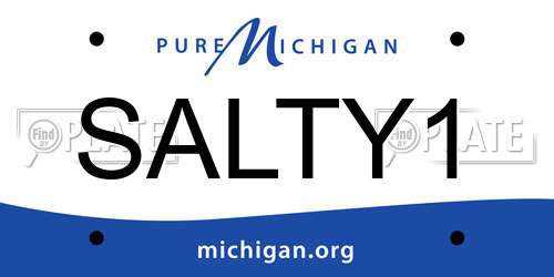 SALTY1 Michigan License Plate