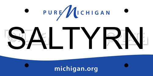 SALTYRN Michigan License Plate