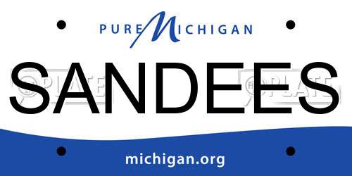 SANDEES Michigan License Plate