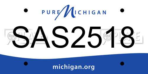 SAS2518 Michigan License Plate