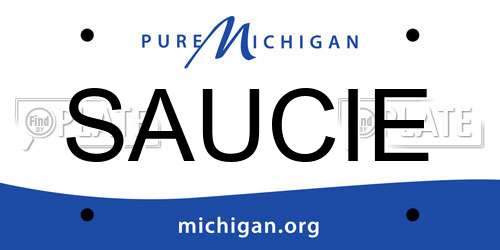 SAUCIE Michigan License Plate