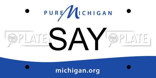 SAY Michigan License Plate