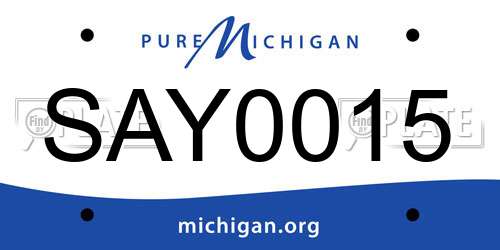 SAY0015 Michigan License Plate