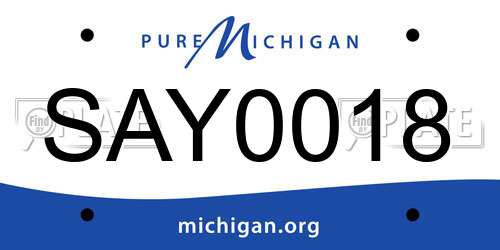 SAY0018 Michigan License Plate