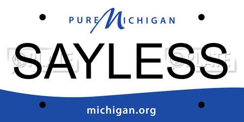 SAYLESS Michigan License Plate