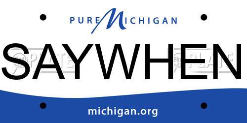 SAYWHEN Michigan License Plate