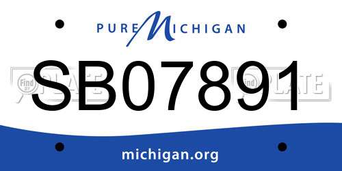 SB07891 Michigan License Plate