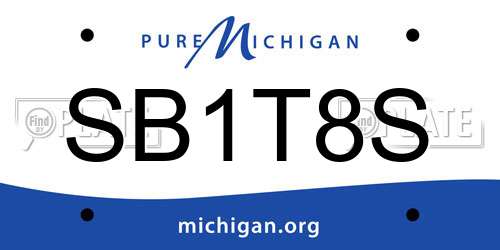 SB1T8S Michigan License Plate