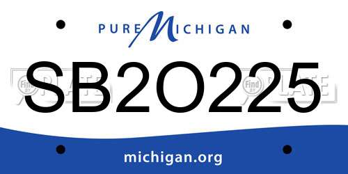 SB2O225 Michigan License Plate