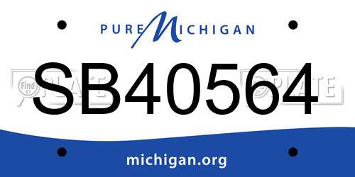 SB40564 Michigan License Plate