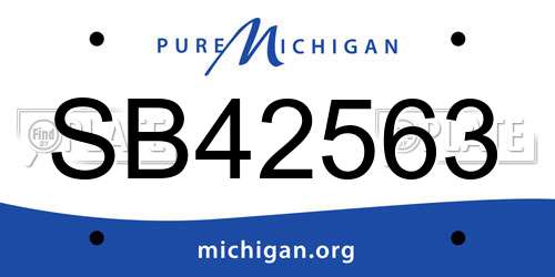 SB42563 Michigan License Plate