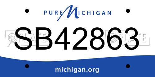 SB42863 Michigan License Plate