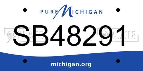 SB48291 Michigan License Plate