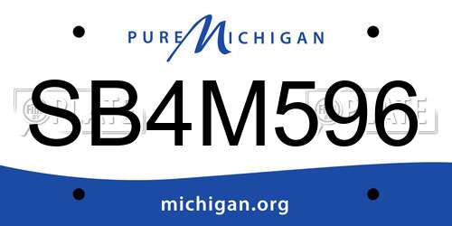 SB4M596 Michigan License Plate