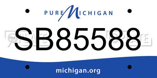 SB85588 Michigan License Plate