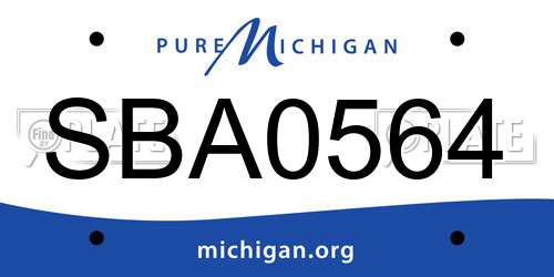 SBA0564 Michigan License Plate