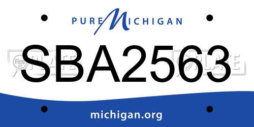 SBA2563 Michigan License Plate