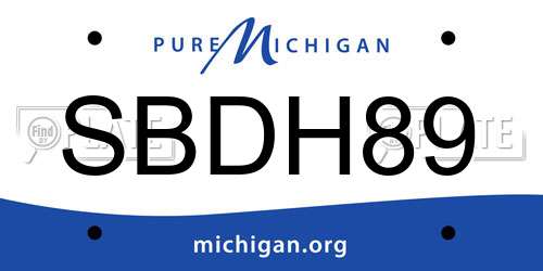 SBDH89 Michigan License Plate