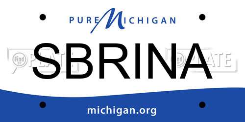 SBRINA Michigan License Plate