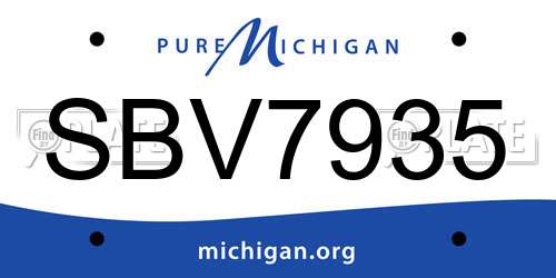SBV7935 Michigan License Plate