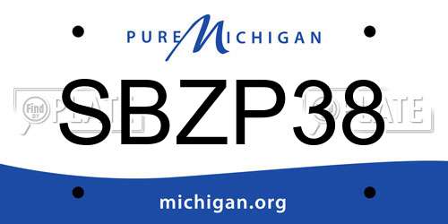 SBZP38 Michigan License Plate