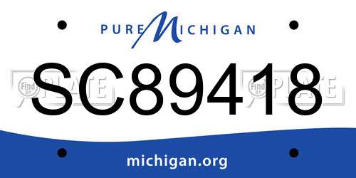 SC89418 Michigan License Plate