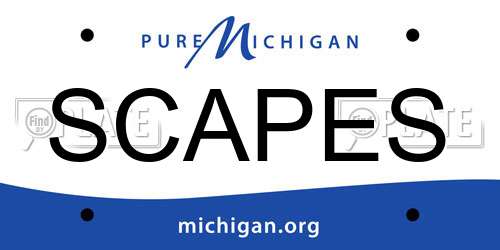 SCAPES Michigan License Plate
