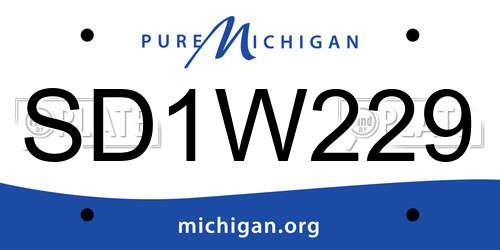 SD1W229 Michigan License Plate