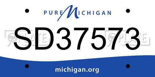SD37573 Michigan License Plate
