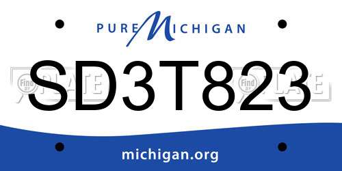 SD3T823 Michigan License Plate
