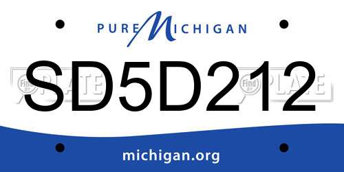 SD5D212 Michigan License Plate