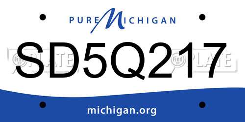 SD5Q217 Michigan License Plate