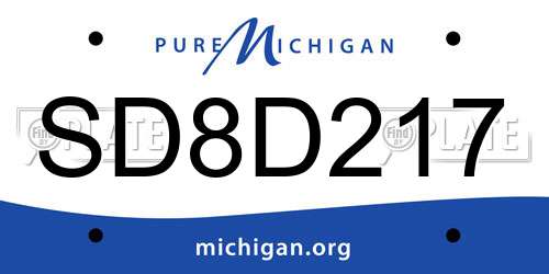SD8D217 Michigan License Plate