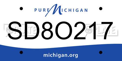 SD8O217 Michigan License Plate