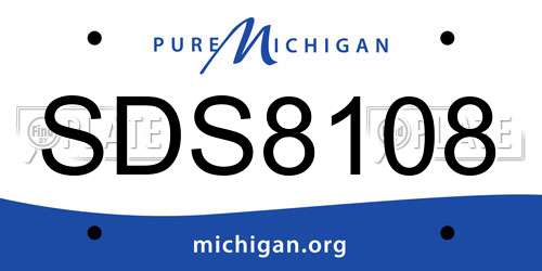 SDS8108 Michigan License Plate