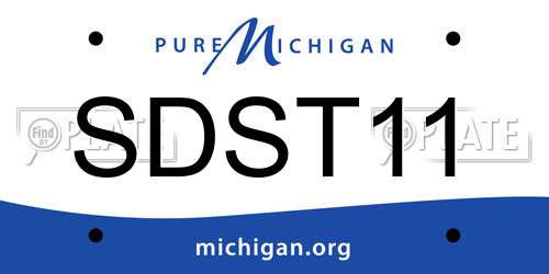 SDST11 Michigan License Plate